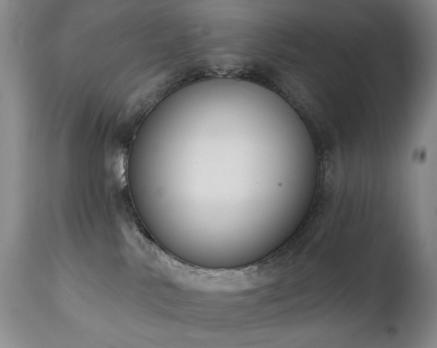 X0000111020042200906191703
