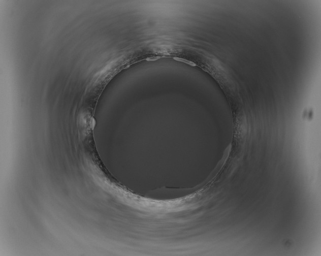 X0000111020043200906191702