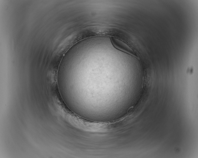 X0000111020044200906191702