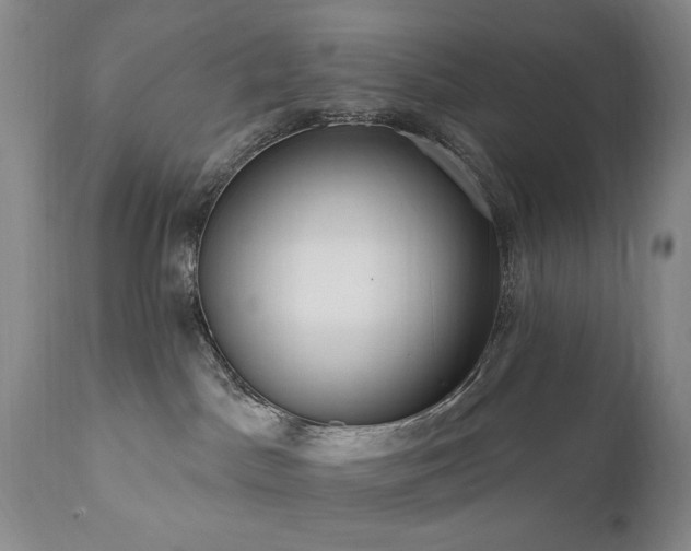 X0000111020045200906191702