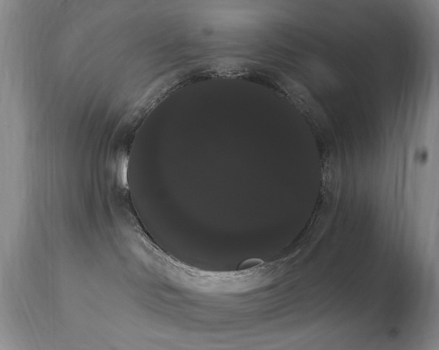 X0000111020046200906191702