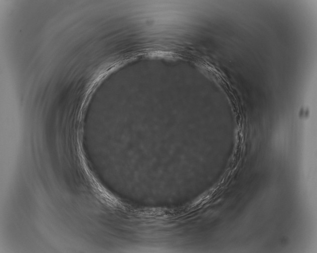 X0000111020049200906191702
