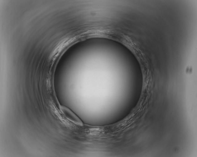X0000111020050200906191702