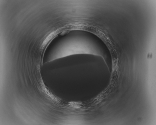 X0000111020051200906191702