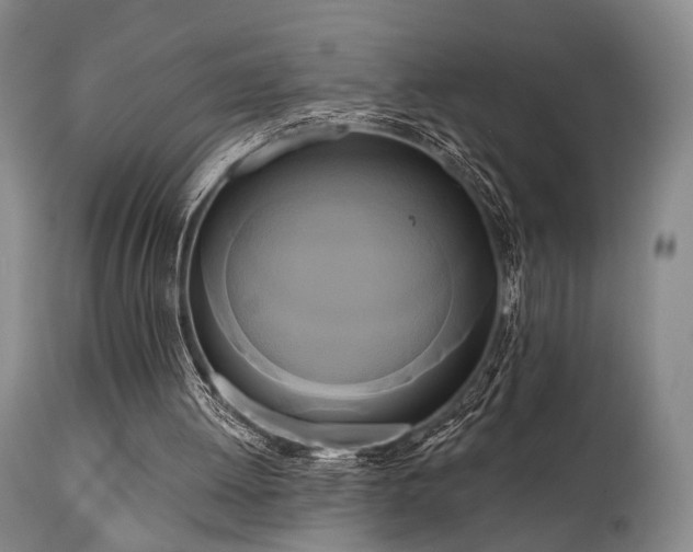 X0000111020052200906191702