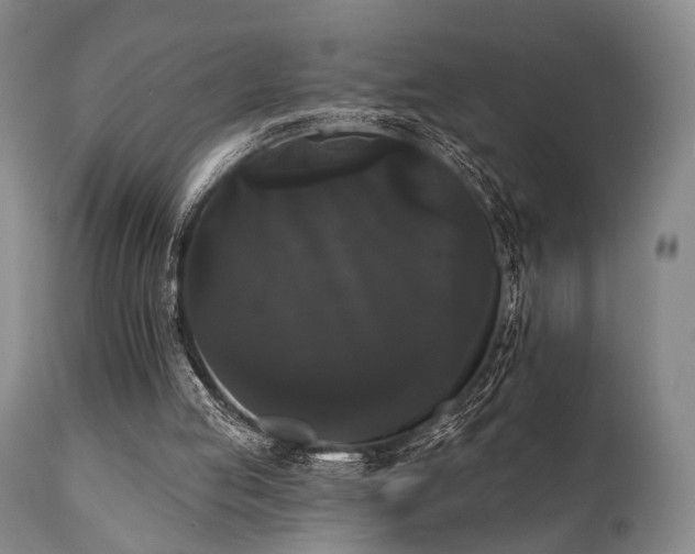 X0000111020053200906191702