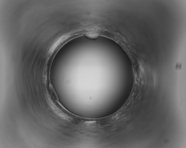 X0000111020054200906191702