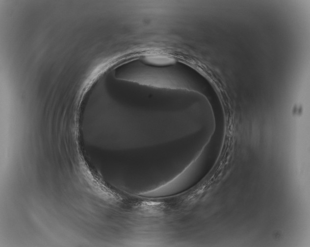 X0000111020055200906191702