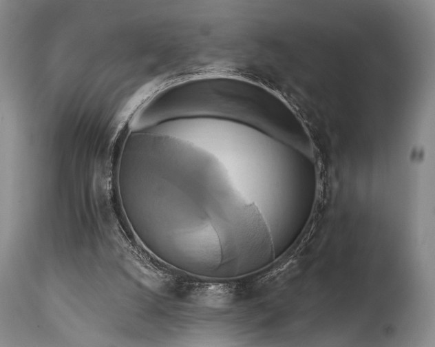X0000111020056200906191702