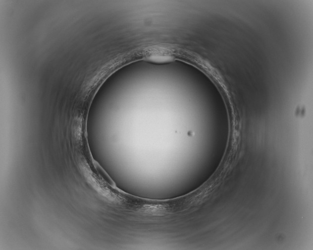 X0000111020057200906191702