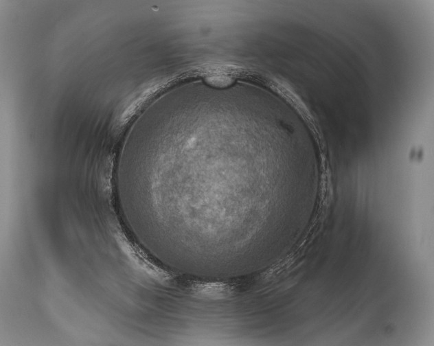 X0000111020058200906191702