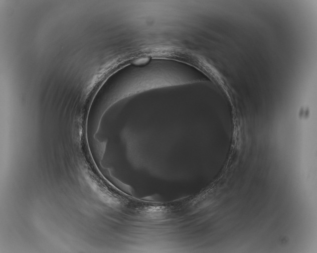X0000111020059200906191702