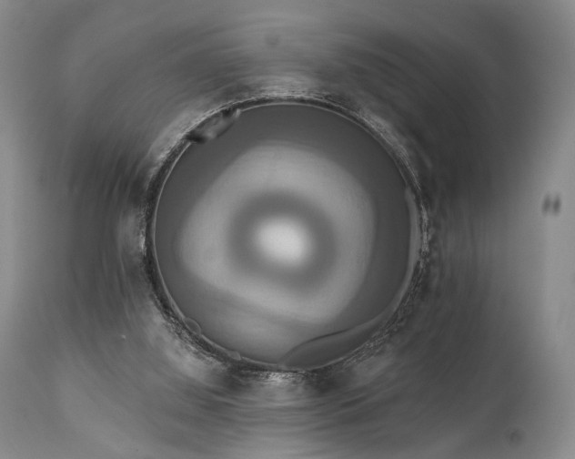 X0000111020060200906191702