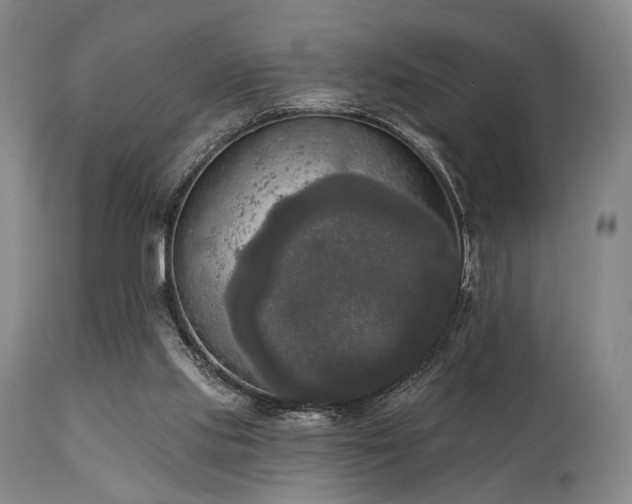 X0000111020061200906191702