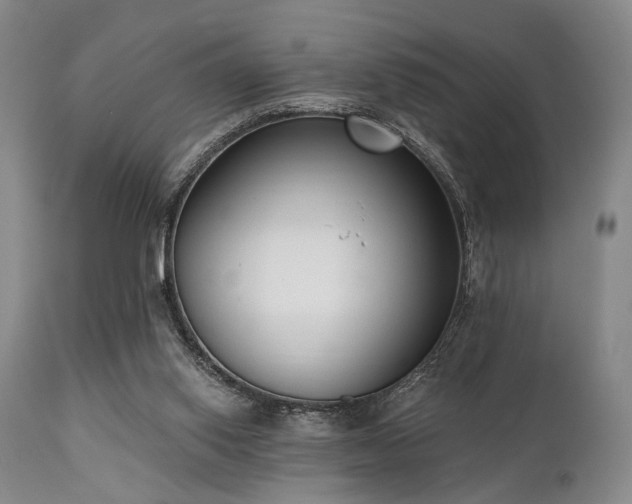 X0000111020062200906191702