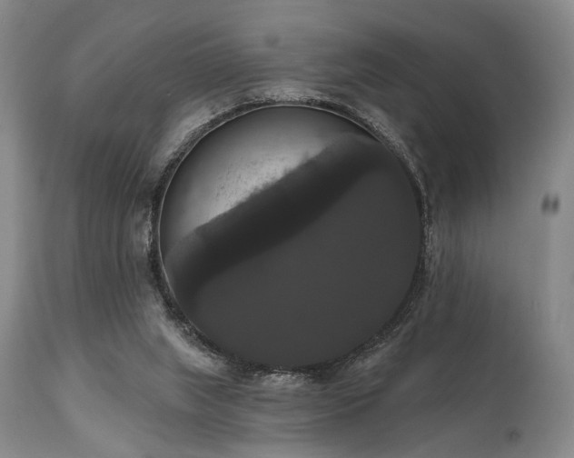 X0000111020063200906191702