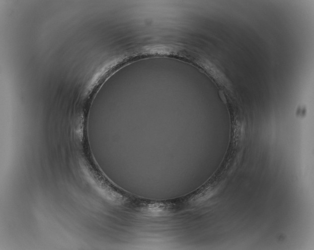 X0000111020064200906191702