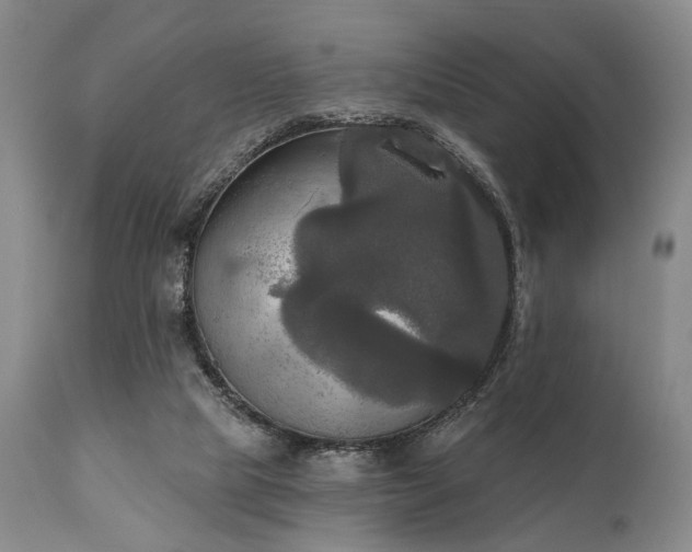 X0000111020065200906191702