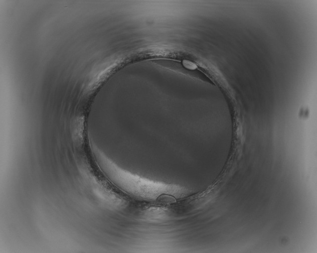 X0000111020066200906191702