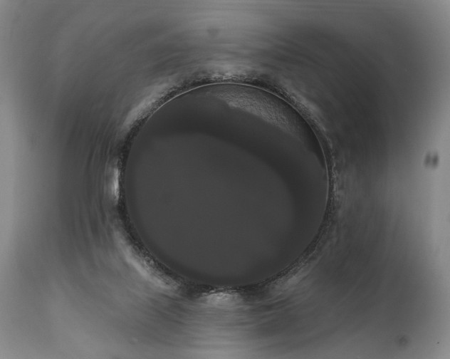 X0000111020067200906191702
