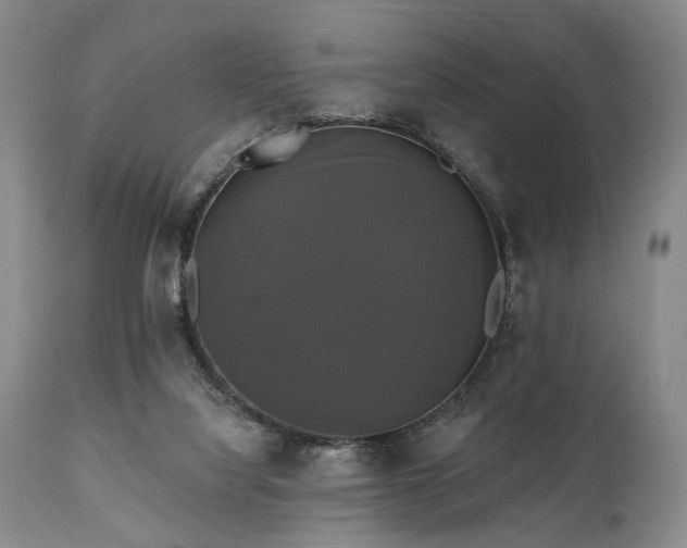 X0000111020068200906191702