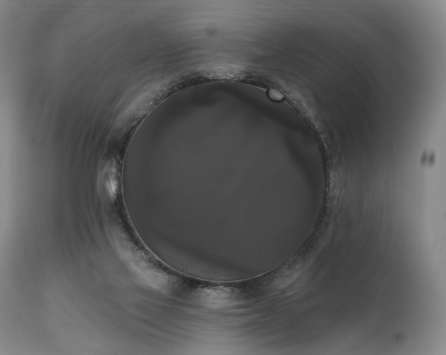 X0000111020069200906191702