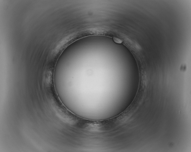 X0000111020071200906191702
