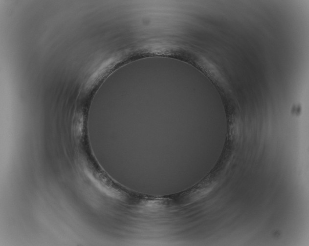 X0000111020072200906191702