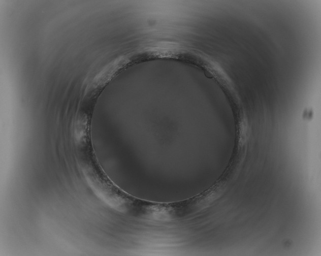 X0000111020073200906191702