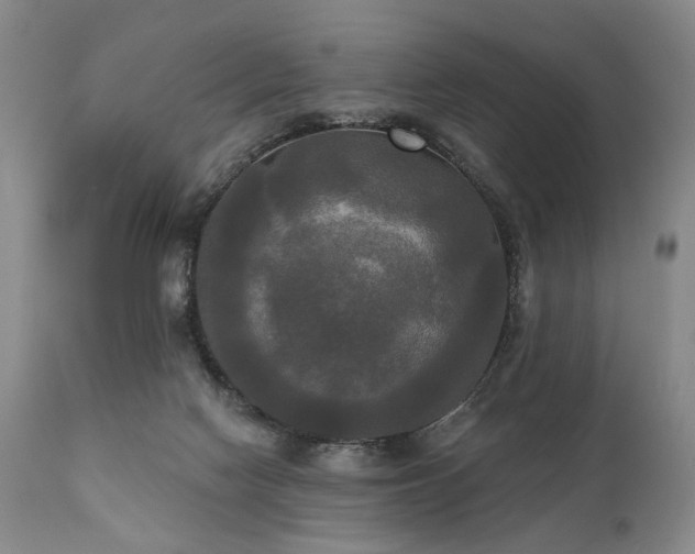 X0000111020074200906191702