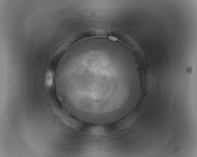X0000111020075200906191702