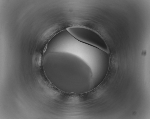 X0000111020076200906191702