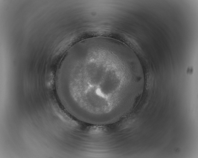 X0000111020077200906191702