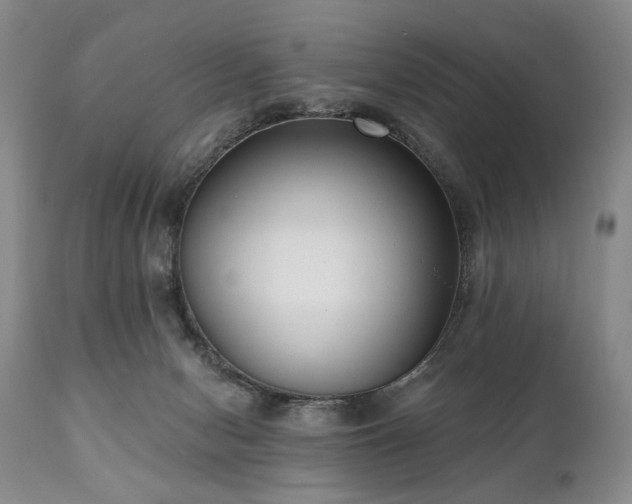 X0000111020078200906191702
