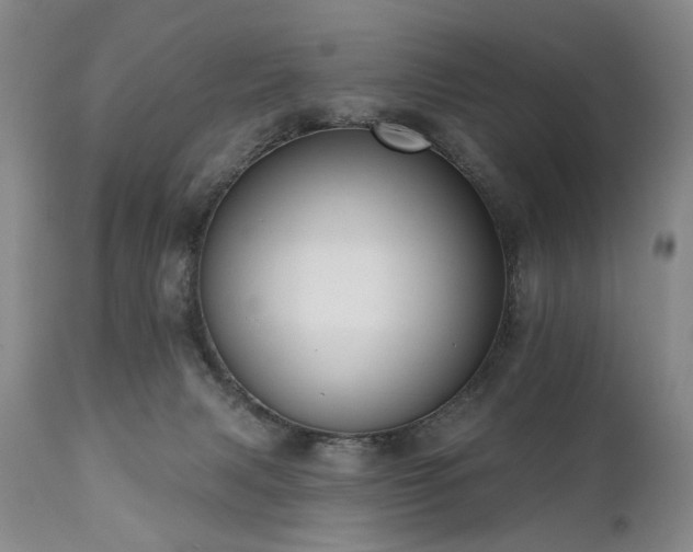X0000111020079200906191702