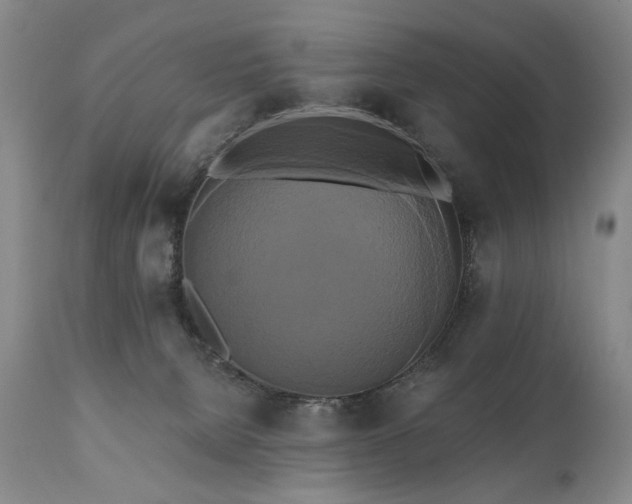 X0000111020080200906191702