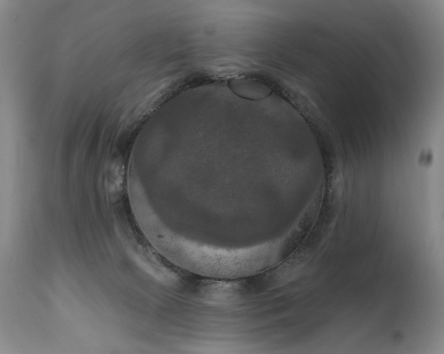 X0000111020081200906191702