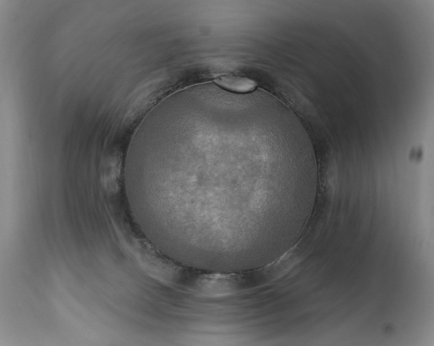 X0000111020082200906191702