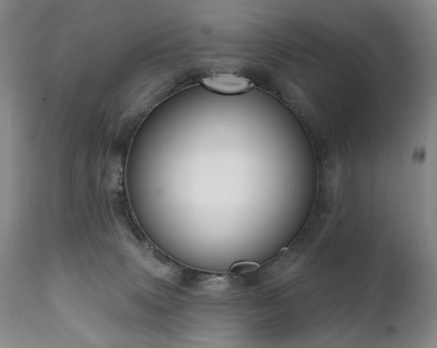 X0000111020083200906191702