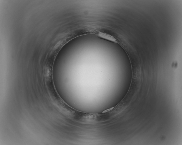 X0000111020084200906191702