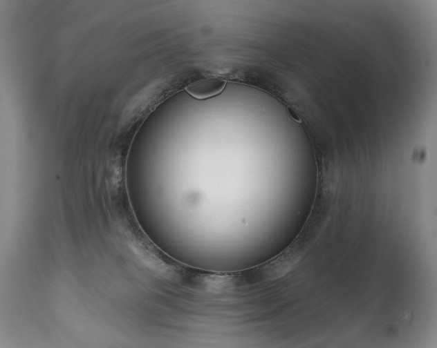 X0000111020085200906191702