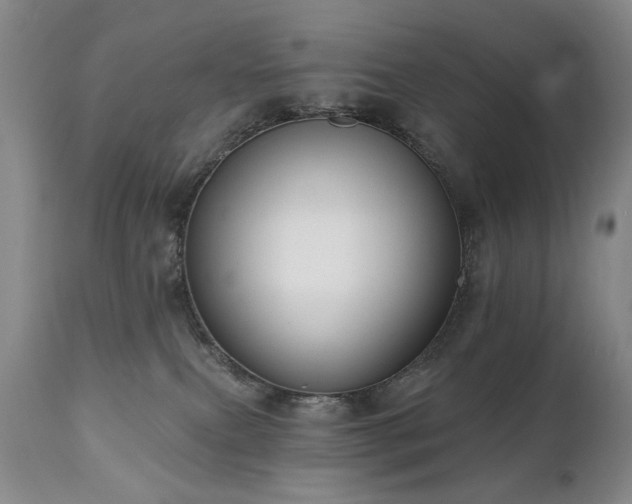 X0000111020087200906191702