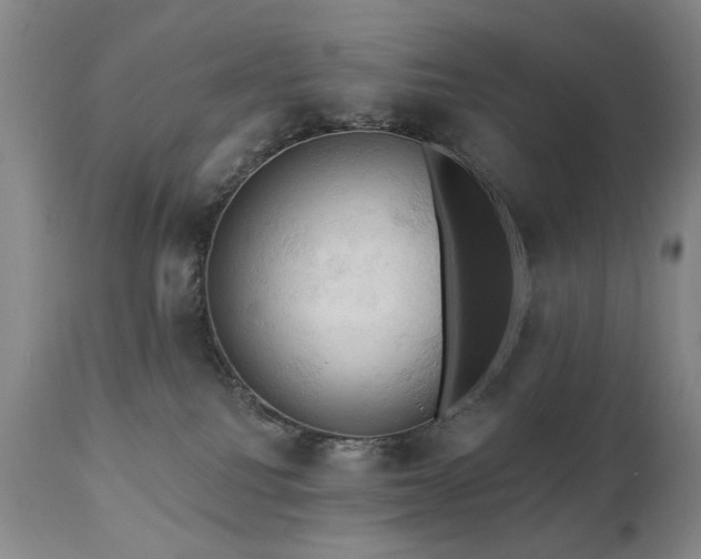 X0000111020088200906191702