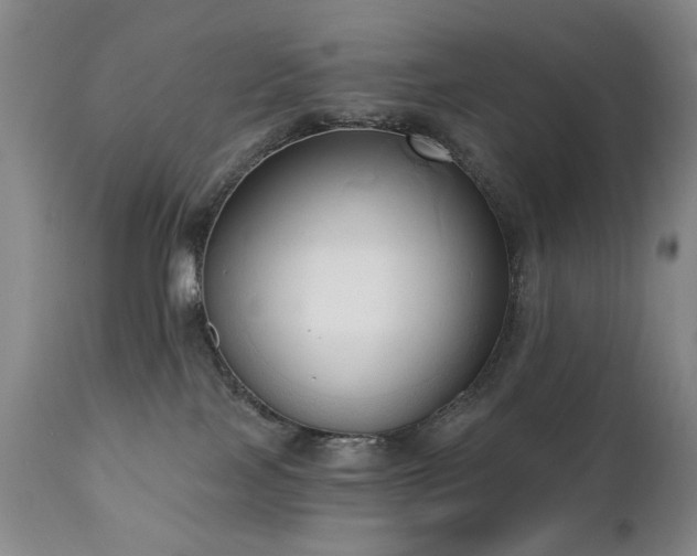 X0000111020089200906191702