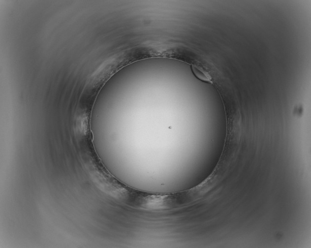 X0000111020090200906191702