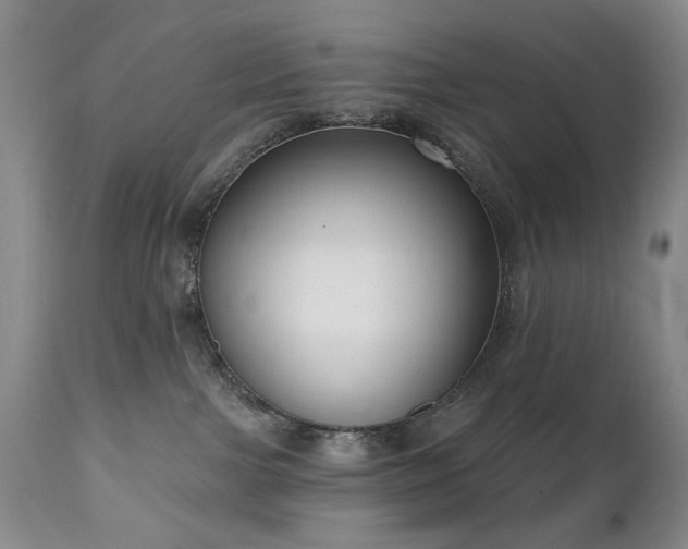 X0000111020091200906191702