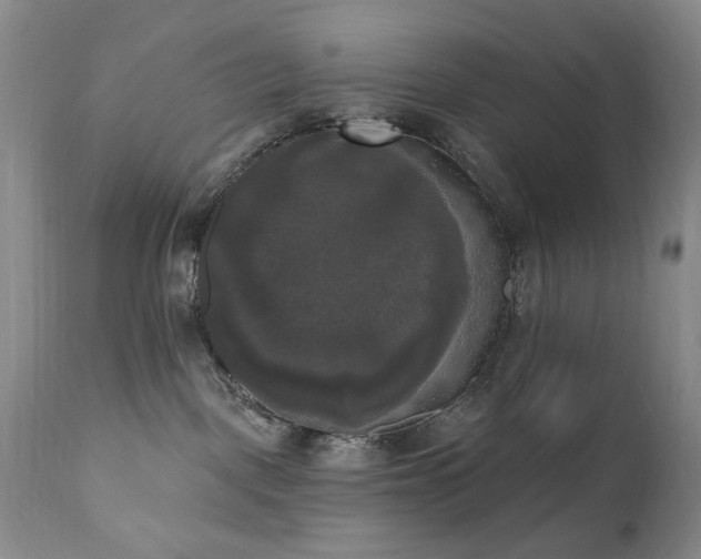 X0000111020093200906191702