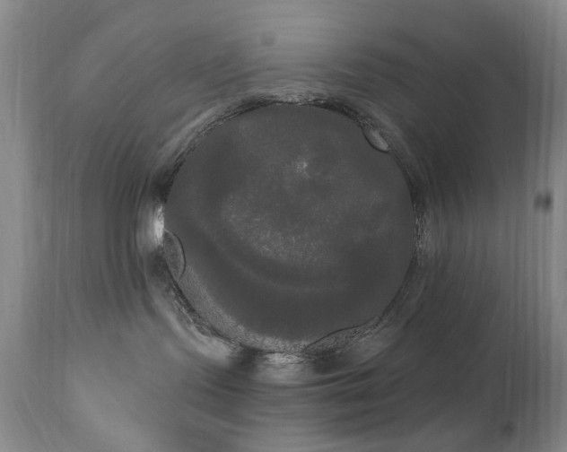 X0000111020095200906191702