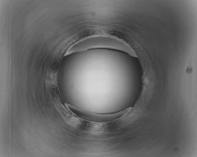 X0000111020096200906191702