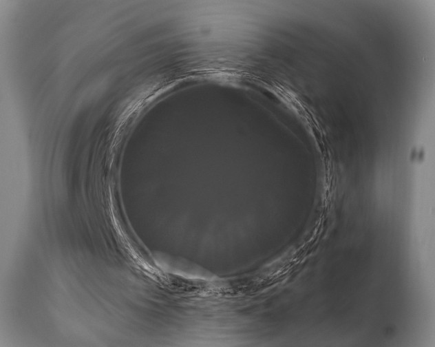 X0000111020097200906191702